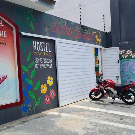 "Le Chat Qui Peche" Hostel A 150 Metros Da Praia De Pajucara Maceio  Bagian luar foto